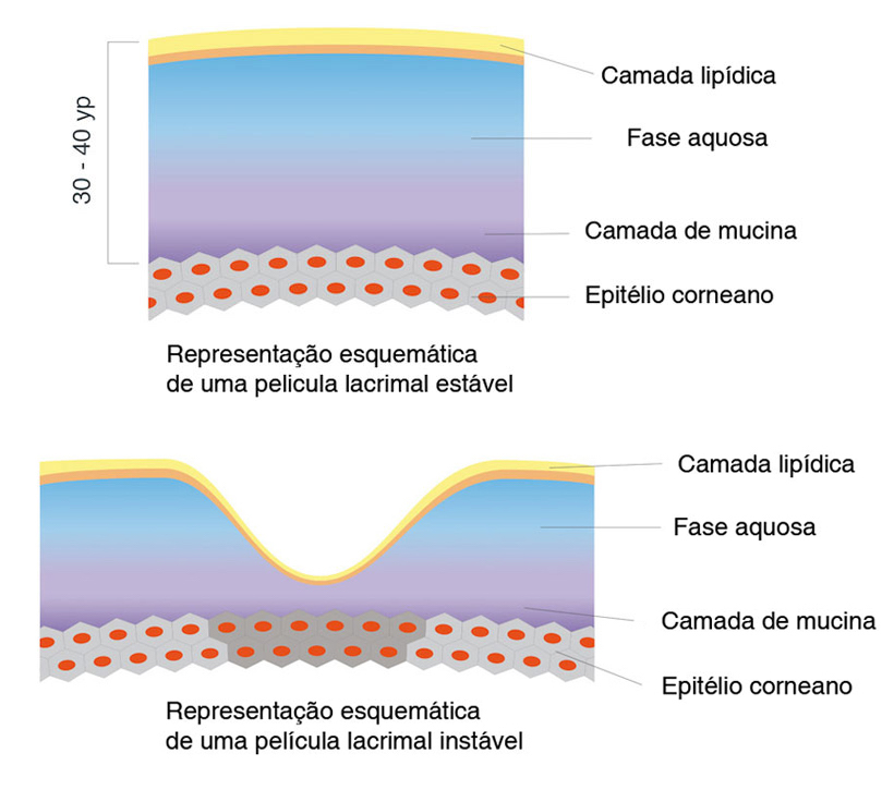 Esquema da pelicula lacrimal